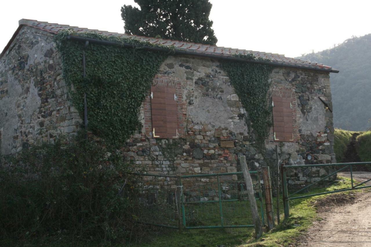 Farmhouse Tuscany Montecastelli Pisano Kültér fotó