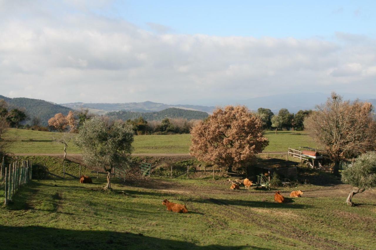Farmhouse Tuscany Montecastelli Pisano Kültér fotó